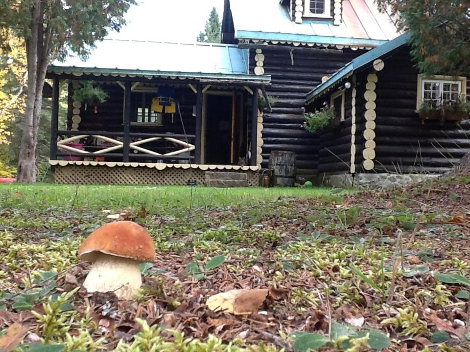 Domaine Le Bostonnais - Le Village En Bois Rond La Tuque Buitenkant foto