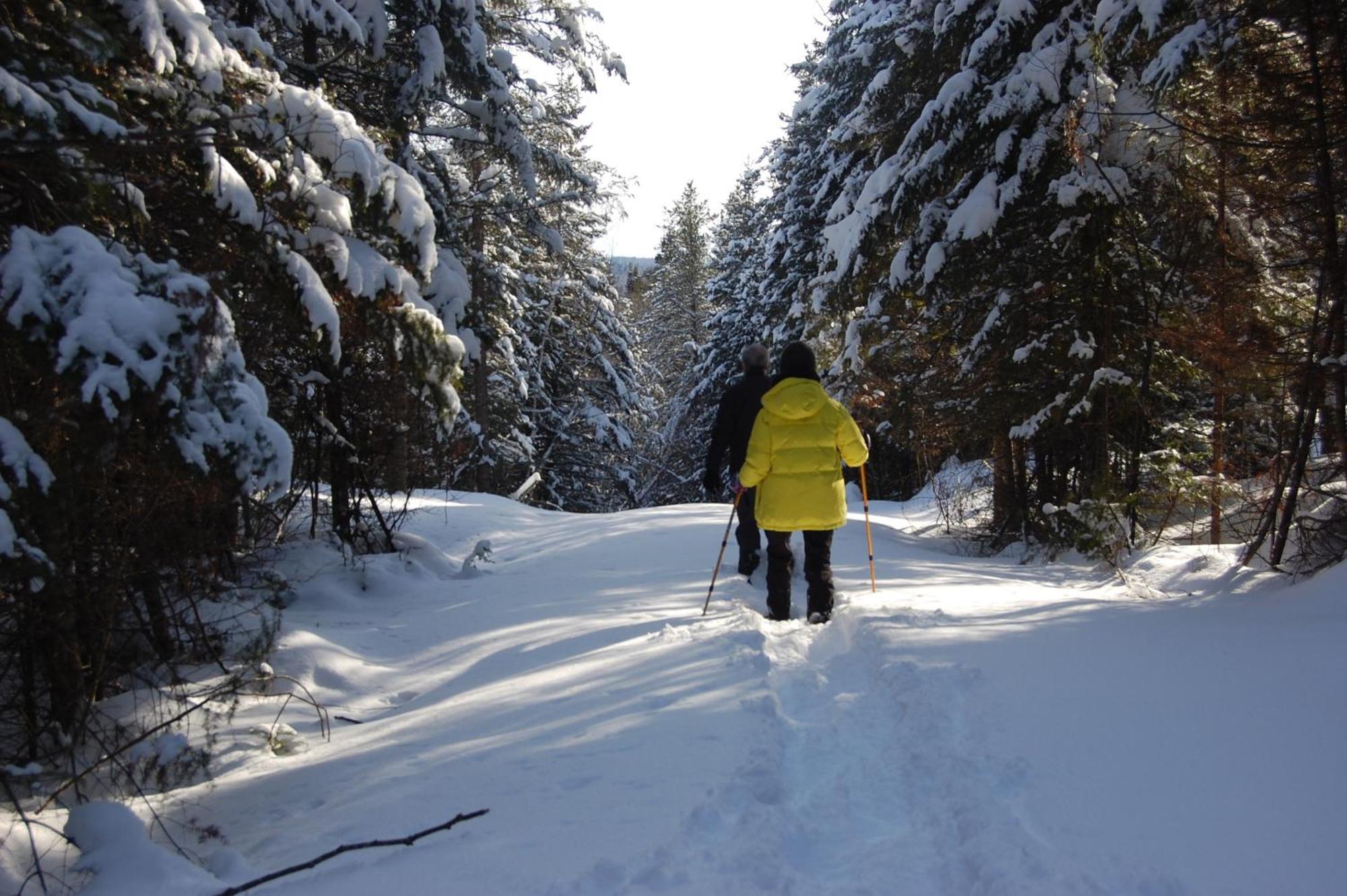 Domaine Le Bostonnais - Le Village En Bois Rond La Tuque Buitenkant foto